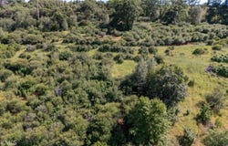 13520 Point Lakeview, Lower Lake, CA 95457