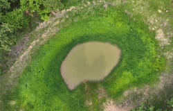 Green Moss Trail, Harrah, OK 73045