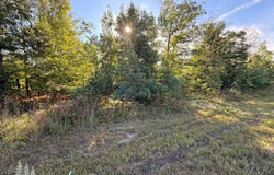 5944 Neumann Road, Lewiston, MI 49756