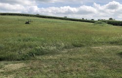 411 Oak Ridge Dr, LENA, IL 61048