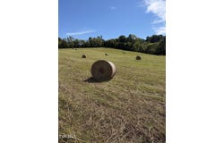 970 Foxford Road, Greeneville, TN 37743