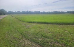 CR 2136, Pittsburg, TX 75686
