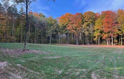 004 S Bright Road, Maple City, MI 49664