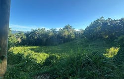 Cañaboncito, Caguas, PR 00727
