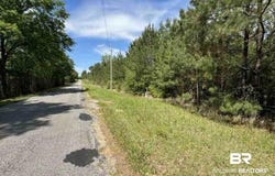 Horace Odom Road, Millry, AL 36558