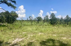 Co Rd 8, Vossburg, MS 39366