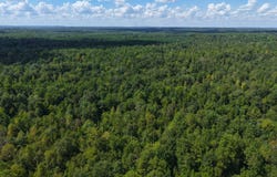 Provitt Road, Grady, AL 36036