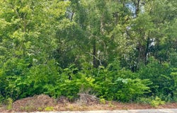 Jasper, FL 32052