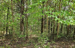9480 Bent Tree Drive, Hillsboro, MO 63050