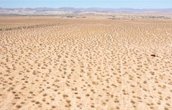 Barnes, 29 Palms, CA 92277