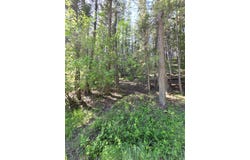 255 W Cedar Street, Libby, MT 59923
