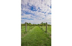8400 E 1320 Road, Stockton, MO 65785