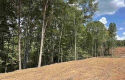 COUNTY ROAD 246 lot: 50, FIVE POINTS, AL 36855