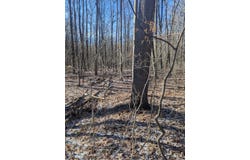 East Road, Montrose, MI 48457