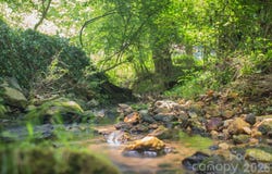 99999 Rumbough Place, Asheville, NC 28806