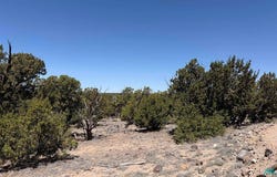 Pima Drive, Quemado, NM 87829