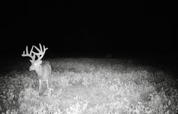 16800 210th Rd, Erie, KS 66733