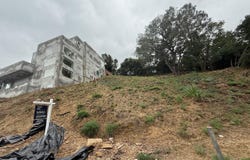 Sheridan, Oakland, CA 94618