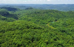 02 Little White Oak Rd., Duff, TN 37729