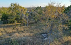 Dian Dr, Harper, TX 78631