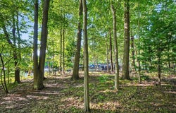 15511 PLESS LANE, SPRING LAKE, MI 49456
