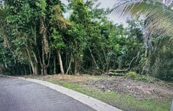 Guaynabo, Guaynabo, PR 00969