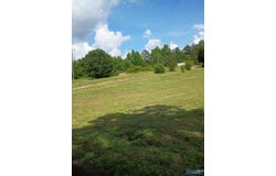 757 Mockingbird Road, Arab, AL 35016