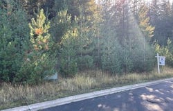 277 DIAMOND HITCH Dr, Kellogg, ID 83837