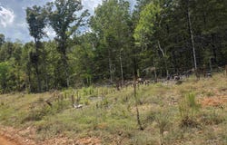 L38 B6 Old CC Road, Hardy, AR 72542