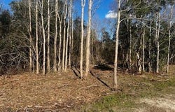 Bellingrath Road, Theodore, AL 36582