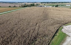 4299 Lewis Access Rd, Center Point, IA 52213