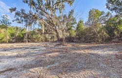 Shady Oaks Drive, Perry, FL 32348
