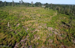 Ebenezer Road, Columbia, MS 39429