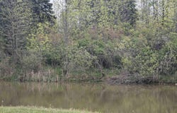 Michigan Avenue, Au Gres, MI 48703