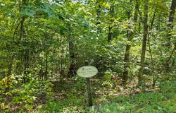 Dogwood Trail, White Sulphur Springs, WV 24986