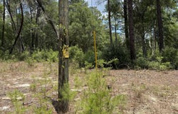 960 STATE ROAD 100, Florahome, FL 32140
