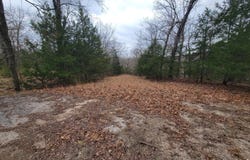 Lost Mine Road, Theodosia, MO 65761