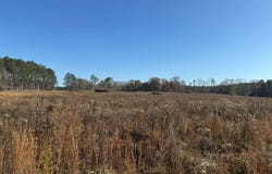 159 D B Williamson Rd # B, Louisville, MS 39339