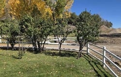 3115 CR 973, Ignacio, CO 81137