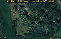 331 Battenkill Evergreens, Salem, NY 12865
