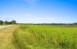 Sandhill Dr lot: 2, Oconto, WI 54153