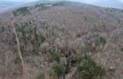 Jack Vaughn Road, Clinton, AR 72031