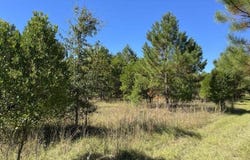 Carolina Highway, Olar, SC 29843