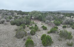 2122 CR 450, Rocksprings, TX 78880