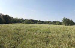 270 Wild Plum Rd, Lockhart, TX 78644