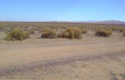 0 Shelby Road, Helendale, CA 92342