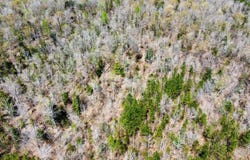 Ararat Road, Ararat, AL 36921