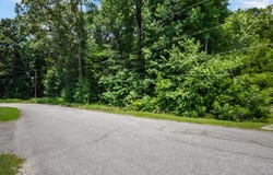 Westminster Avenue, Laurens, SC 29360