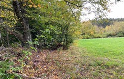 Bugbee Road, Springfield, VT 05156