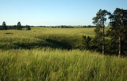NHN Lone Rock Canyon Lane, Hysham, MT 59038